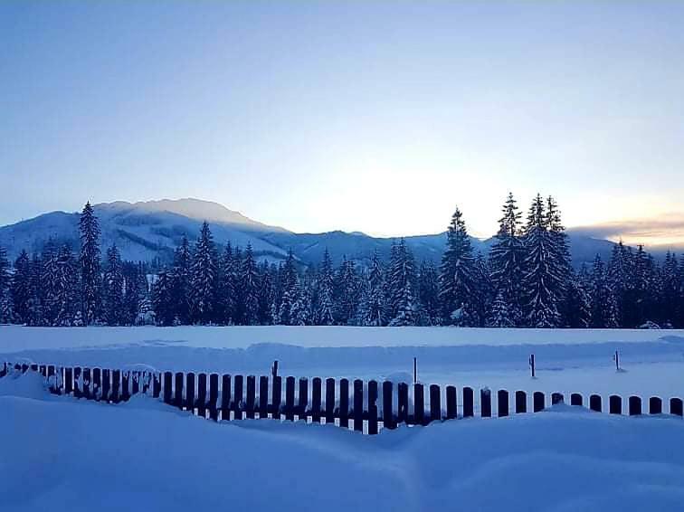Otuleni Tatrami Apartments Kościelisko Dış mekan fotoğraf